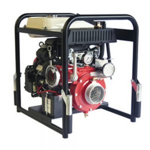 Portable gasoline pump