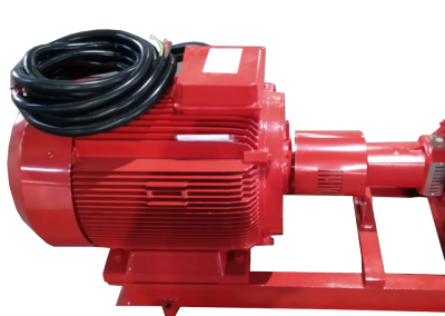 Electric motor of pump set