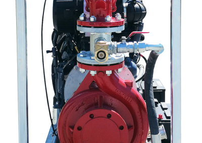 Fire pump on skid