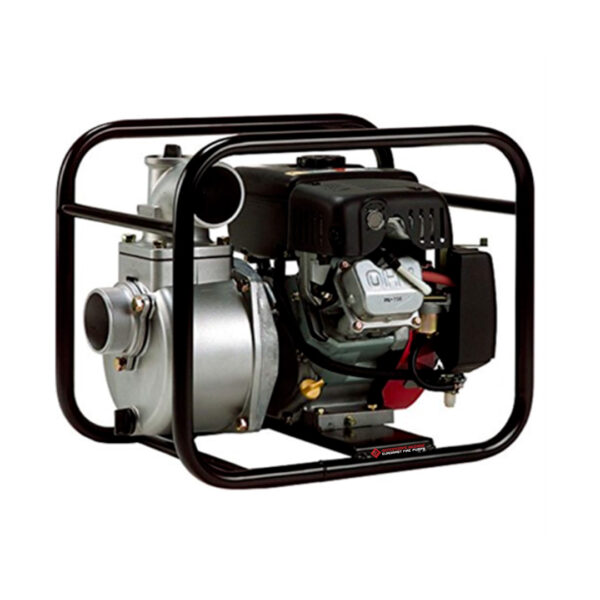Portable gasoline engine exhaust pump